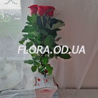 5 троянд і Raffaello - Фото 3 5 троянд і Raffaello - Фото 3