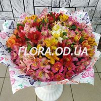 Букет из 25 альстромерий - Фото 1