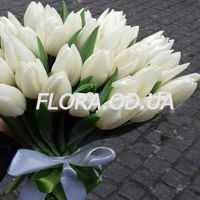 Букет из 35 белых тюльпанов - Фото 4