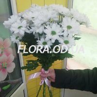 Букет з 5 ромашкових хризантем - Фото 1 Букет з 5 ромашкових хризантем - Фото 1