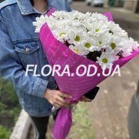 Bouquet of 7 chamomile flowers - Photo 3