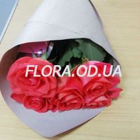 Оранжевые розы - Фото 1