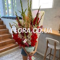 Букет 25 разноцветных гладиолусов - Фото 1