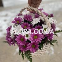 Корзина цветов из хризантем - Фото 1