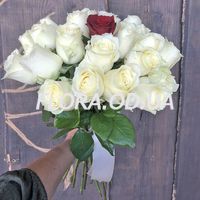 You are the only one - Photo 3