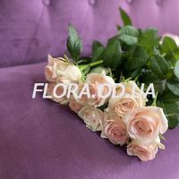 Cream roses by piece - Photo 2