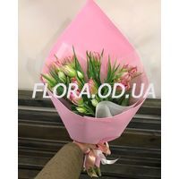 Пионовидные тюльпаны поштучно - Фото 1