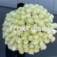 101 imported white roses - Photo 1