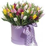 Тюльпаны в коробках