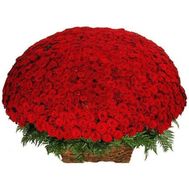 1001 красная роза