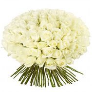101 white roses 60 cm