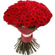 101 red roses 70 cm