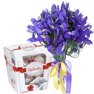 15 irises and Raffaello