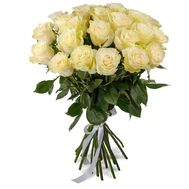 21 імпортна біла троянда