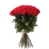 25 імпортних троянд