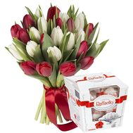 25 красных и белых тюльпанов с Raffaello