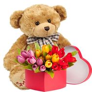 25 тюльпанов в коробке и мишка