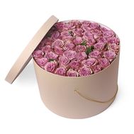 41 roses Memorial in the box