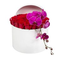 51 красная роза с орхидеей в коробке