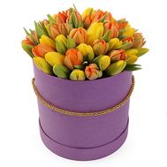 51 яскравий тюльпан в коробці