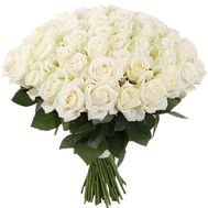 55 white roses