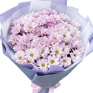 Bouquet of 11 chamomile chrysanthemums