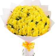 Bouquet 13 chrysanthemums