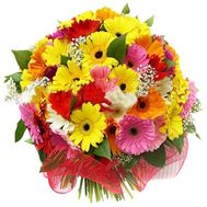 Букет 45 різнокольорових гербер