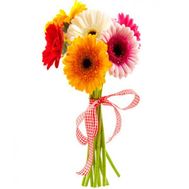 Букет 7 різнокольорових гербер