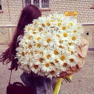 Букет з 101 ромашковою хризантеми