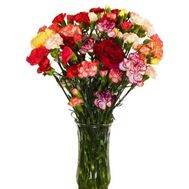 Букет из 15 кустовых гвоздик