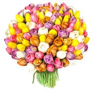 Bouquet of 151 Tulips