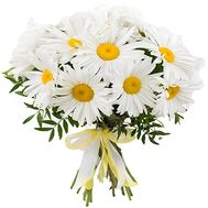 Букет з 19 ромашок