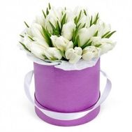 Букет з 25 білих тюльпанів в коробці