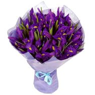 Букет из 25 ирисов