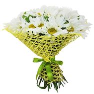 Букет з 25 ромашок