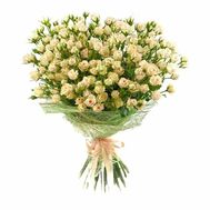 Bouquet of 27 roses spray