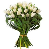 Букет из 29 белых тюльпанов