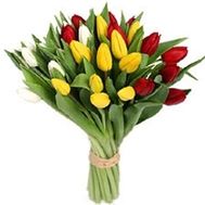 Букет из 29 разноцветных тюльпанов