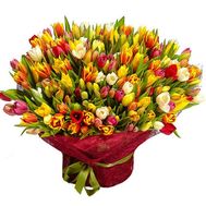 Bouquet of 301 tulips