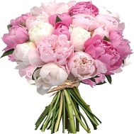 Букет из 35 импортных пионов