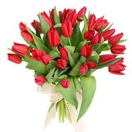 Букет из 35 красных тюльпанов