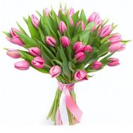 Букет из 35 розовых тюльпанов