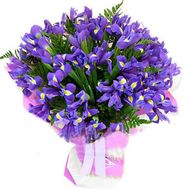 Букет из 35 синих ирисов