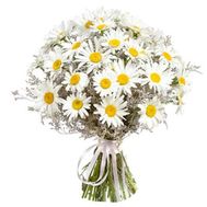 Букет з 39 ромашок