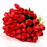 Bouquet of 45 red tulips