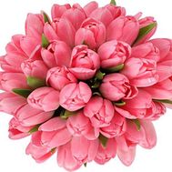 Bouquet of 45 pink tulips