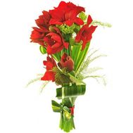 Bouquet of 5 Amaryllis