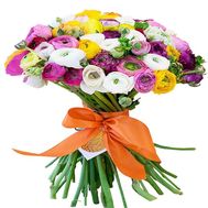 Bouquet of 65 Ranuncles