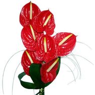 Букет з 7 антуриумов